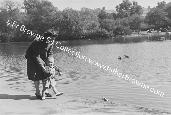 ST STEPHEN'S GREEN FEEDING DUCKS